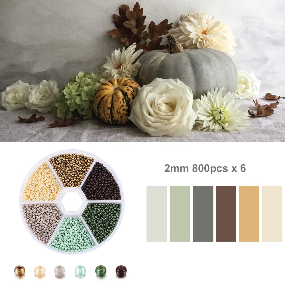 Czech Glass Seed Beads Duo