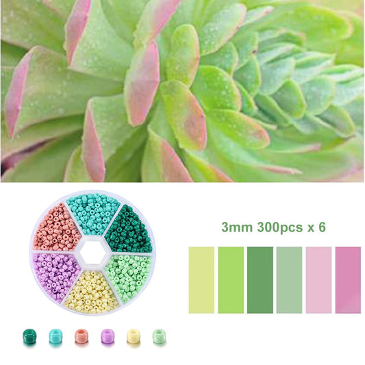 Czech Glass Seed Beads Duo