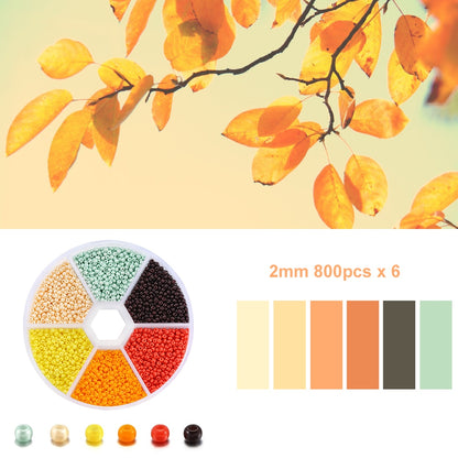 Czech Glass Seed Beads Duo