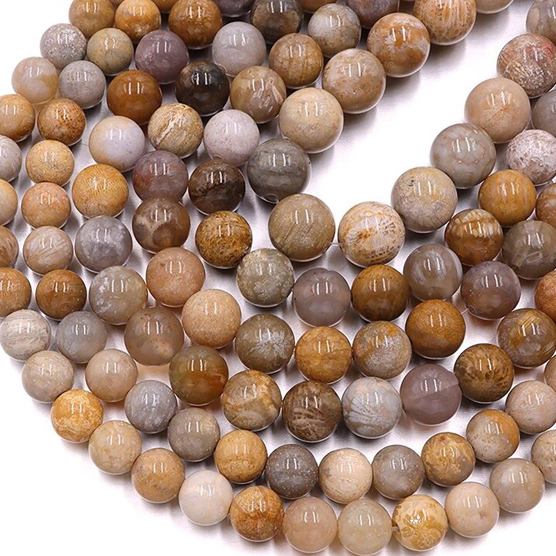 Chrysanthemum Fossil Coral Stone Beads, Round, 15.5'' inch strand 