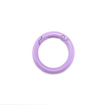 Metal Openable Round Carabiner Keychain Clasps, Multicolor 