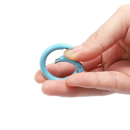 Metal Openable Round Carabiner Keychain Clasps, Multicolor 