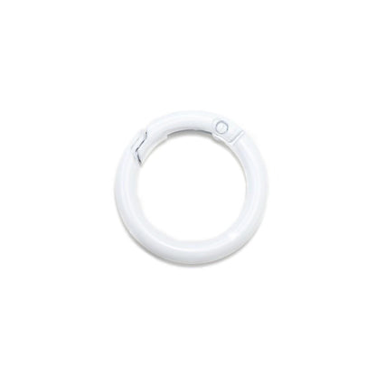 Metal Openable Round Carabiner Keychain Clasps, Multicolor 