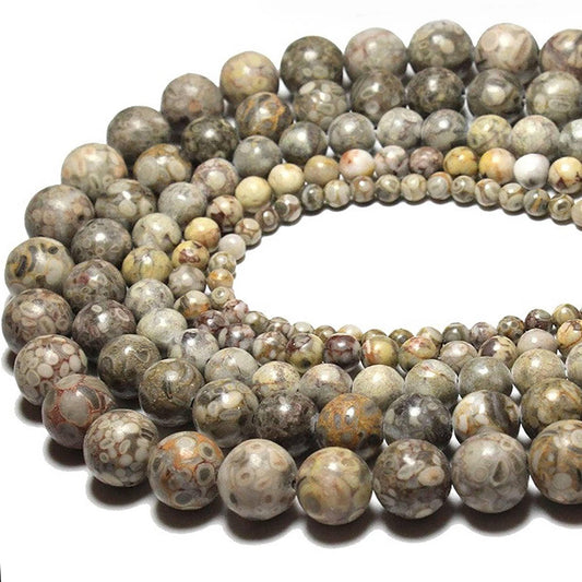 Ocean Maifan Fossil Coral Jasper Beads, Round, 15.5'' strand 